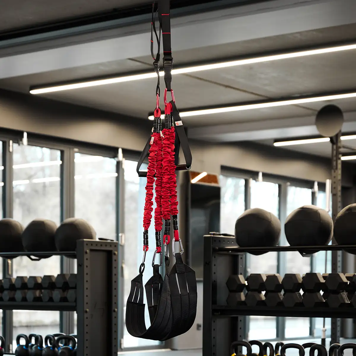 4D PRO Bungee Schlingentrainer - Image 3
