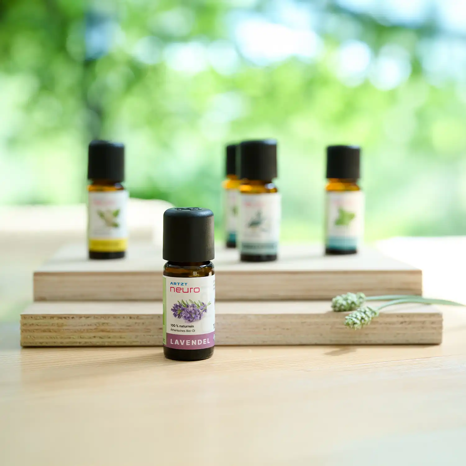 Ätherische Öle | 5 x 10 ml Duftöle, naturrein - Image 4